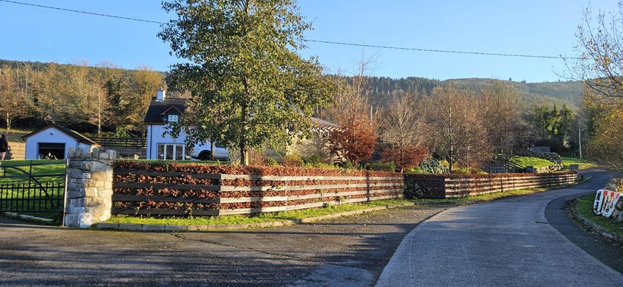 Rostrevor Valley House -Mountainside Hot Tub View 뉴리 외부 사진